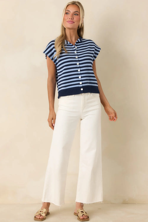 Blue Stripe Knit Button Down Blouse