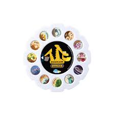 Diggersaurs - Moonlite Storytime